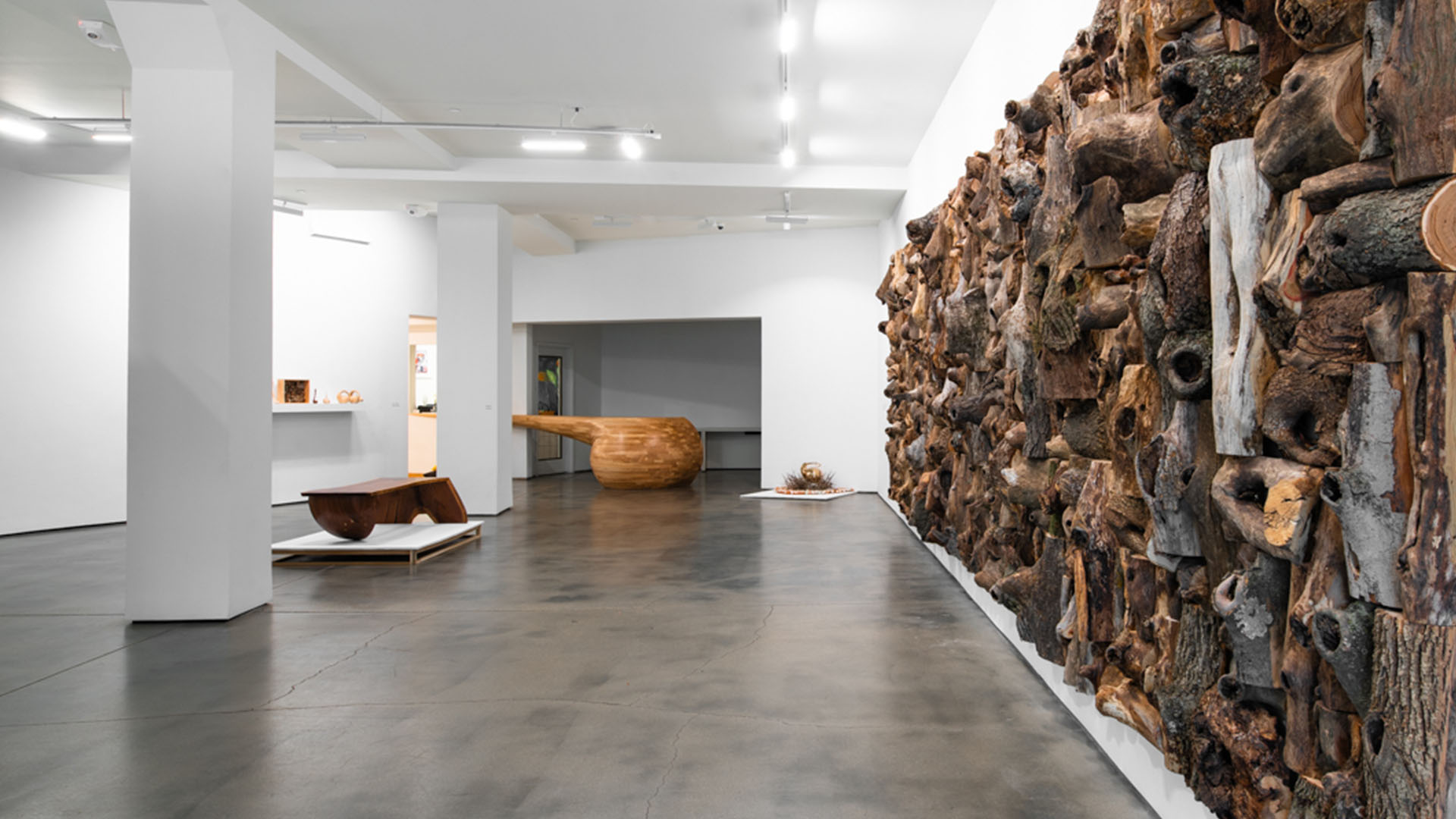 Shon Walters exhibit